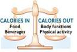 Scales - calories-in-out calori-in-out